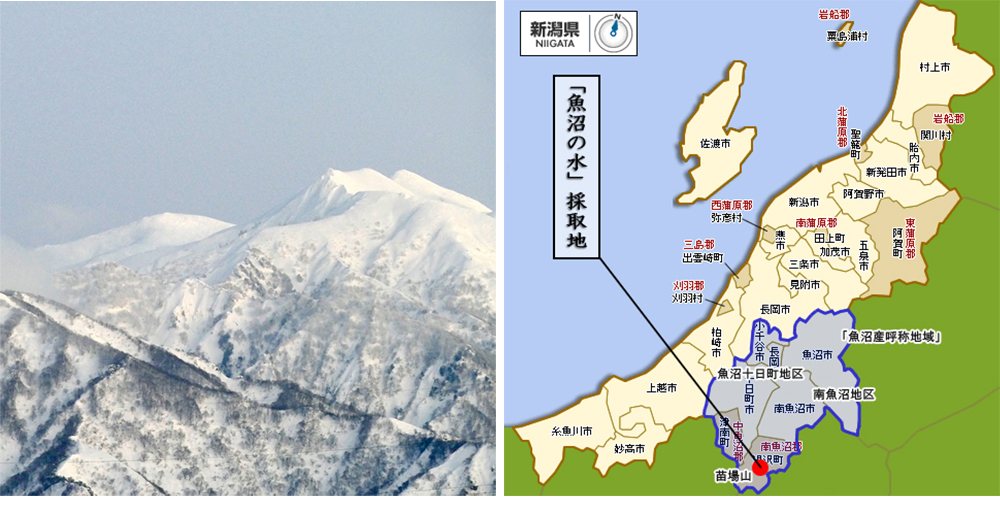 産地 image