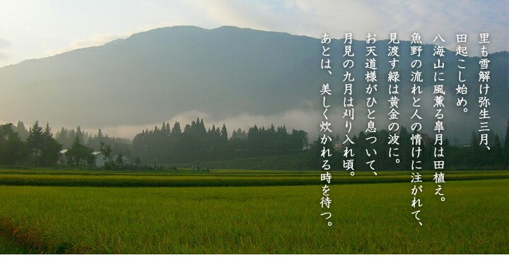 魚沼山里