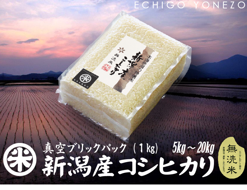 コシヒカリ 新潟米 令和6年産 無洗米 新潟産コシヒカリ チャック