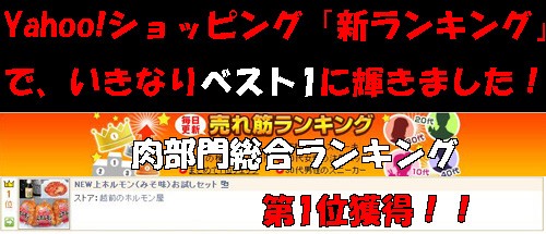 新ランキングでも第1位の上ホルモンお試しセット