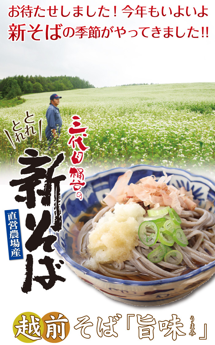 2022年秋収穫／新そば 越前そば お取り寄せ セット 蕎麦「新そば旨味30食」直営農場産 :soba-202:老舗そば屋越前そばの里 - 通販 -  Yahoo!ショッピング