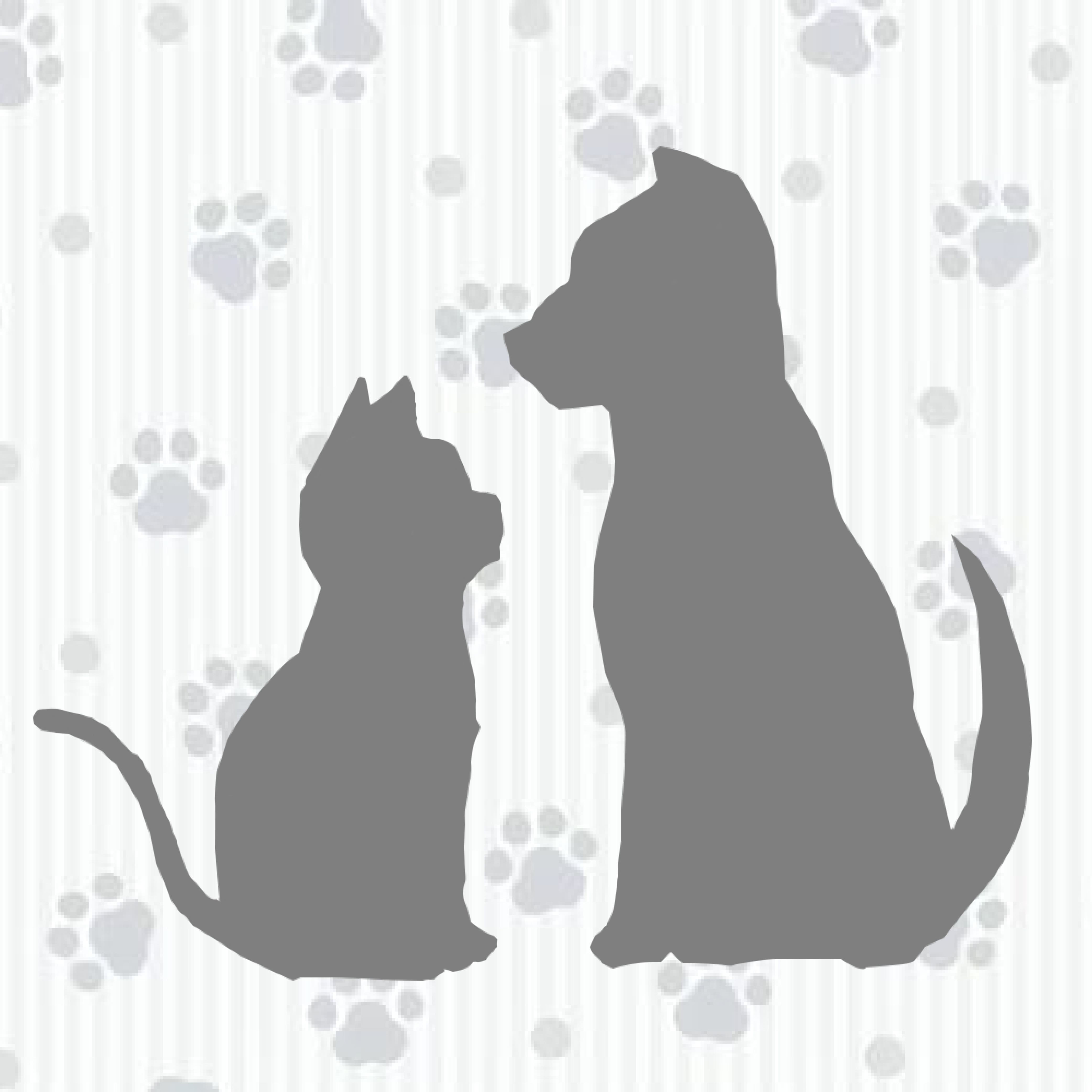 静電気除電　ペットネックレス