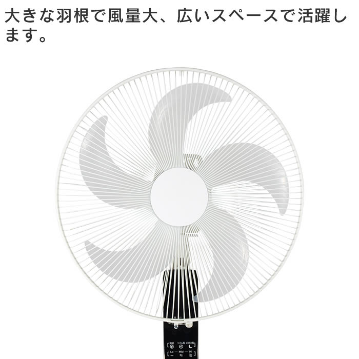 APIX INTERNATIONAL（アピックス インターナショナル） ACフロアー