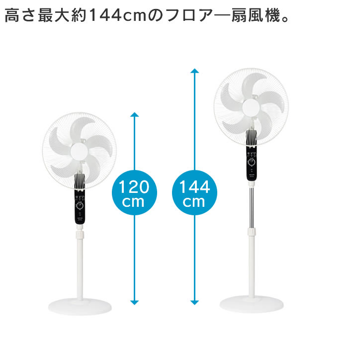 APIX INTERNATIONAL（アピックス インターナショナル） ACフロアー