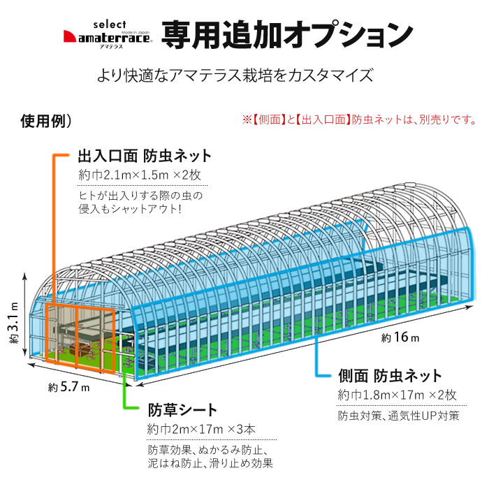 アマテラスセレクト