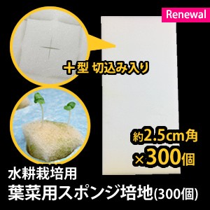 培地