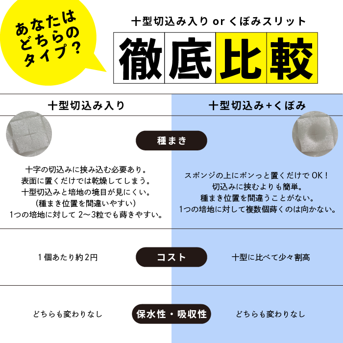培地(スポンジ)