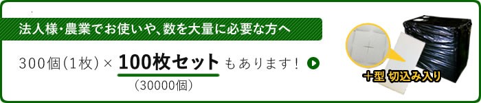 培地(スポンジ)100枚セットへ