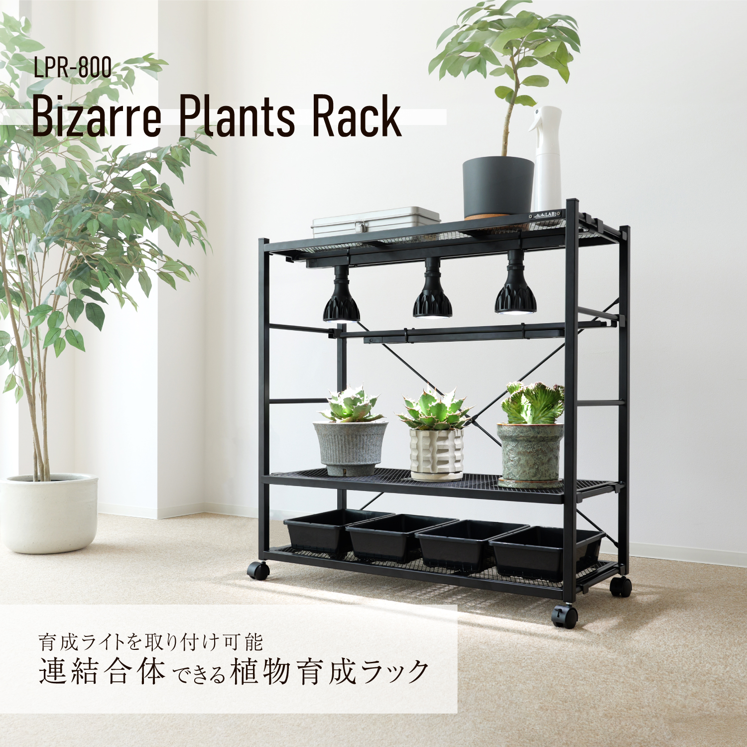 盆栽台 アイアンラック 観葉植物 多肉植物　2段 植物棚 受注制作 観葉植物 棚 ラック 植物棚 台 水耕栽培 室内 栽培棚 ビザールプランツ