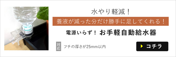 自動給水