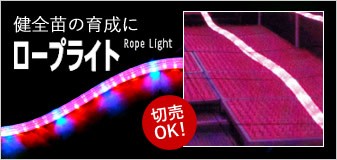 ロープライト