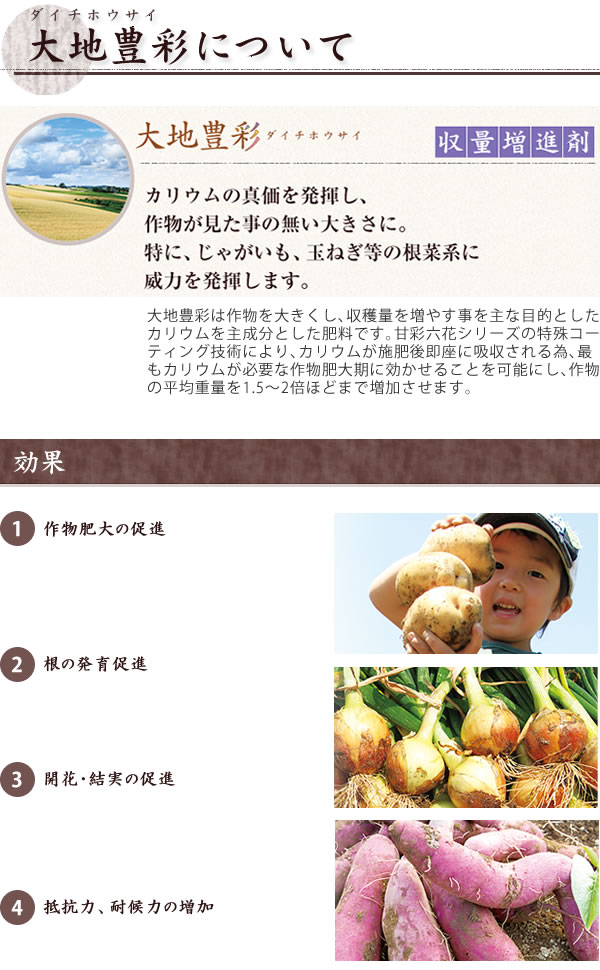 大地豊彩(ダイチホウサイ)