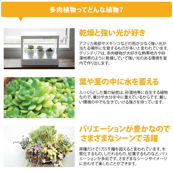 廃盤】 LED プランター 多肉植物用 栽培キット グリンテリア : diagts