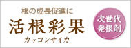 活根彩花(カッコンサイカ)