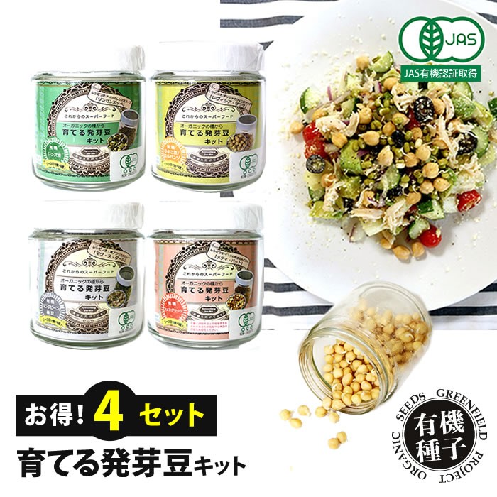 お得なキット4個セット