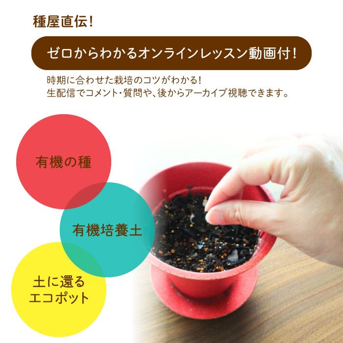オーガニック栽培キット