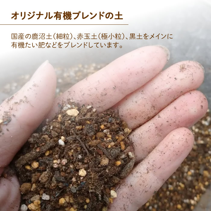 オーガニック栽培キット