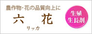 六花(リッカ)