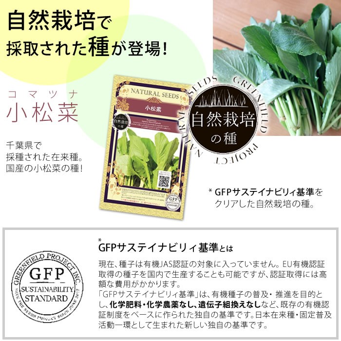 種 自然栽培の種 小松菜 コマツナ 国産 : 水耕栽培専門店のエコゲリラ