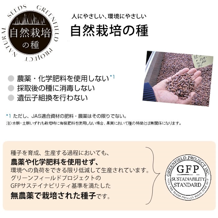 種 自然栽培の種 小松菜 コマツナ 国産 : 水耕栽培専門店のエコゲリラ