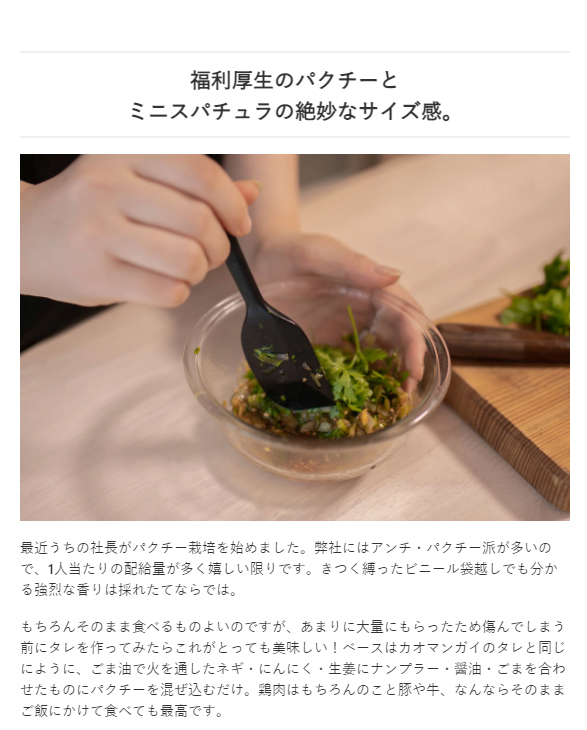 スパチュラミニ