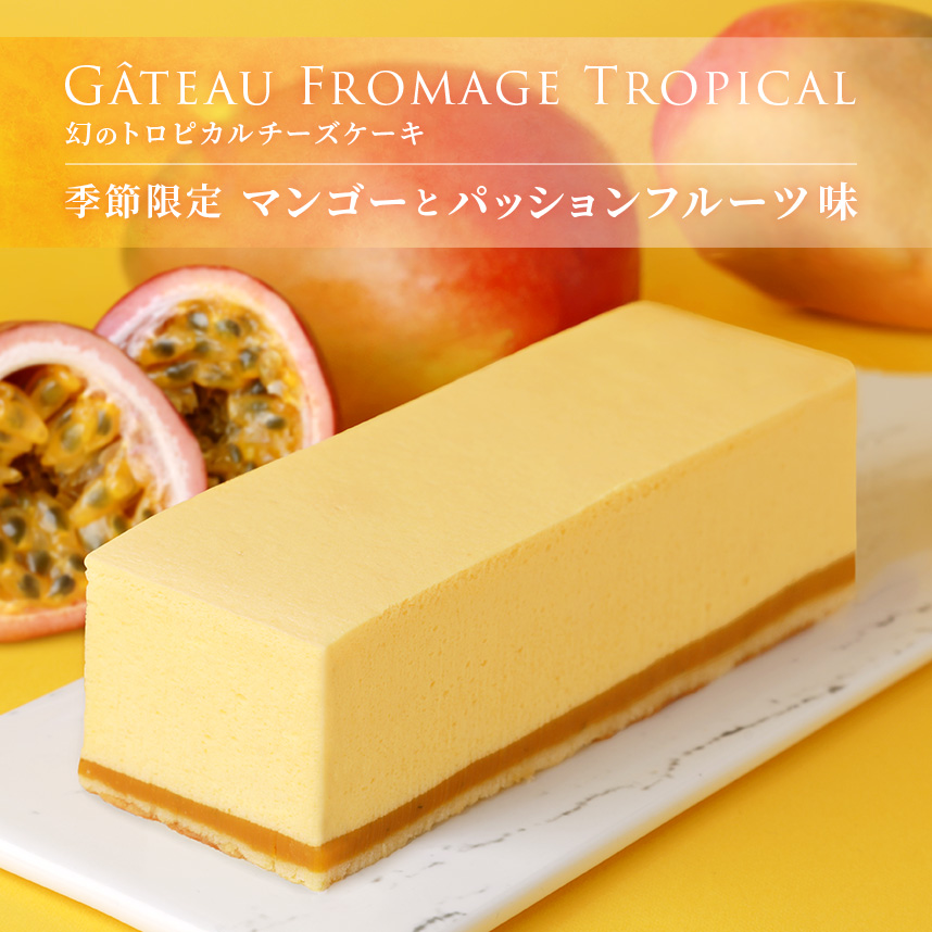 幻のトロピカルチーズケーキ