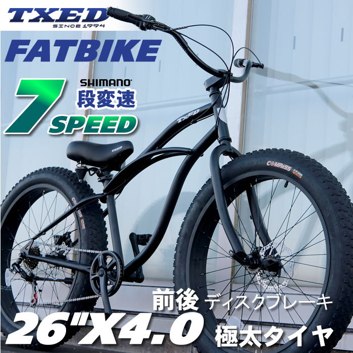 TXED ファットバイク 20インチ DISKブレーキ - 自転車