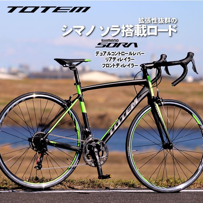 ecolife-araisk2011_totem407-t19b