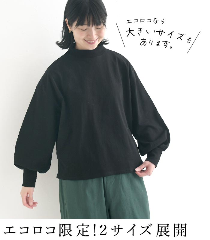 早割10％OFFクーポン プルオーバー ハイネック カットソー ボーダー 無地 綿100％  春 秋 冬 30代 40代 50代 26AW0904, |  | 10