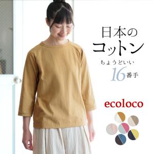 メール便可 日本製 綿100% Tシャツ 七分袖 無地 レディース カットソー 26SS0213R,