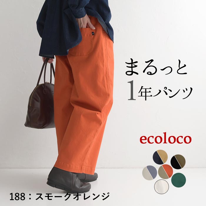 クーポンで30％OFF ワイドパンツ レディース 大きいサイズ 微起毛 ストレッチ 綿 25AW0904R, | earth_eco_loco | 09
