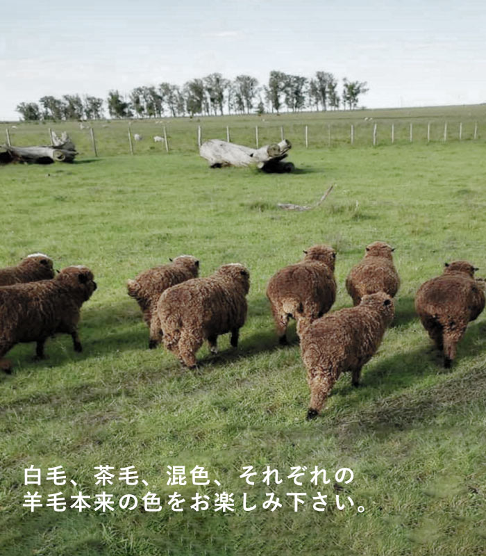 オリジナル 日本製 sococoti上質ウール100％ ニットプルオーバー M-L〜3L秋 冬 大きいサイズ 30代 40代 50代 23AW1117, |  | 08