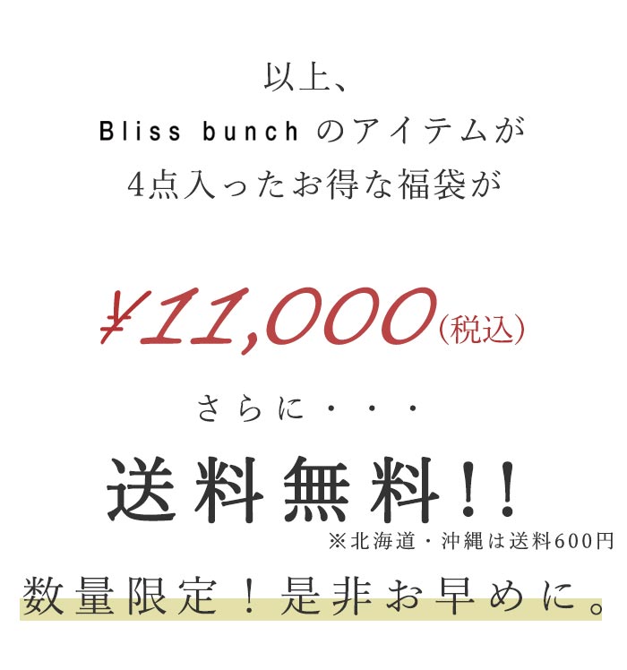 予約 数量限定！ Bliss bunch 夏のコーディネート福袋 4点セット 夏 春 大きいサイズ 26SS0604, | Bliss bunch | 17