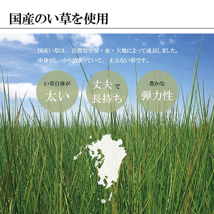 鍋島 い草 ござ 花ござ 国産 日本製 上敷き 和室 敷物 カーペット 江戸間 モダン 掛川織 お手入れ簡単 夏 抗菌防臭 調湿 消臭 空気清浄 汚れにくい_4