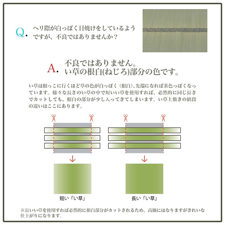 プレーン い草 ござ 国産 日本製 上敷き 和室 敷物 カーペット 江戸間 ナチュラルラグ 市松柄 お手入れ簡単 夏
