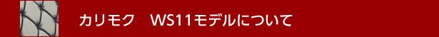 WS11モデルについて