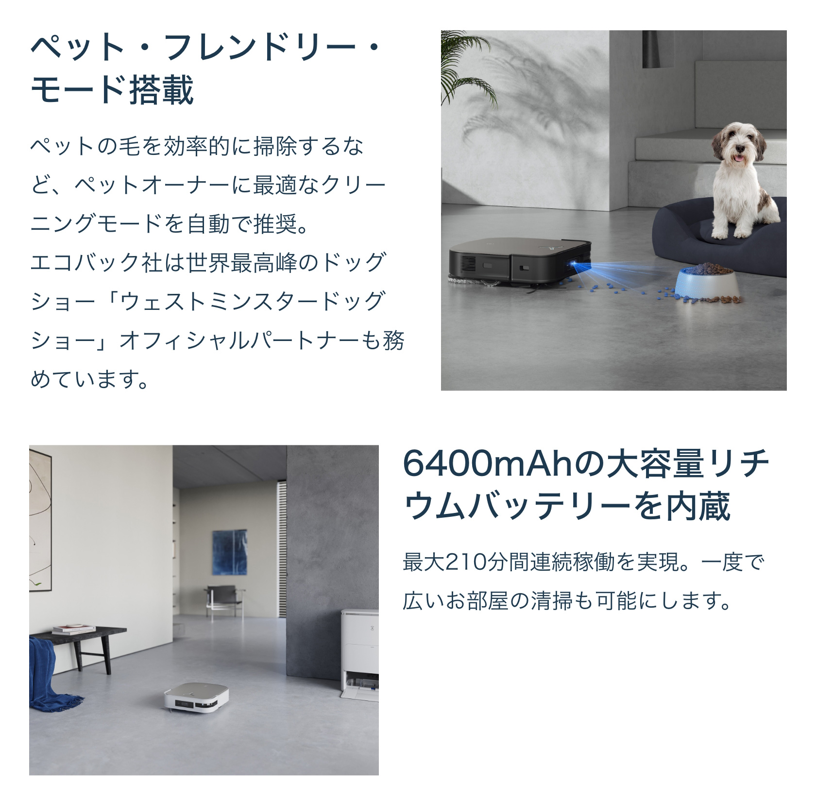 基本機能