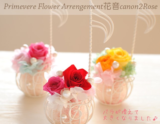 canon2rose.jpg
