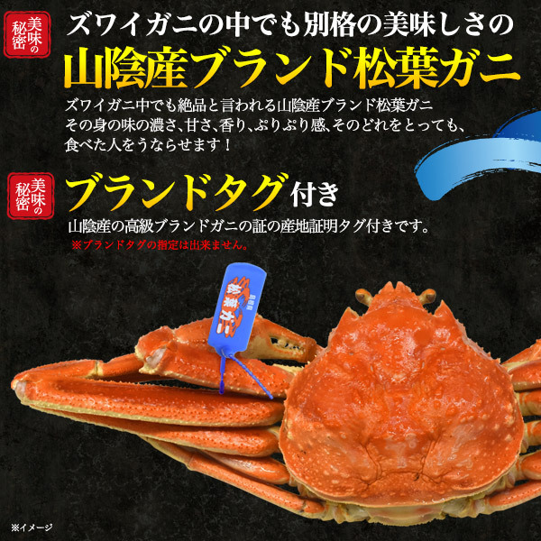 新品即決 松葉ガニ 境港 茹で 冷凍 茹で冷凍松葉ガニ 約800 900g カニ かに 蟹 海鮮 送料無料 国産 産地直送 海鮮グルメ お取り寄せ 最適な価格 Atempletonphoto Com