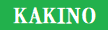 ウエアシューズ KAKINO