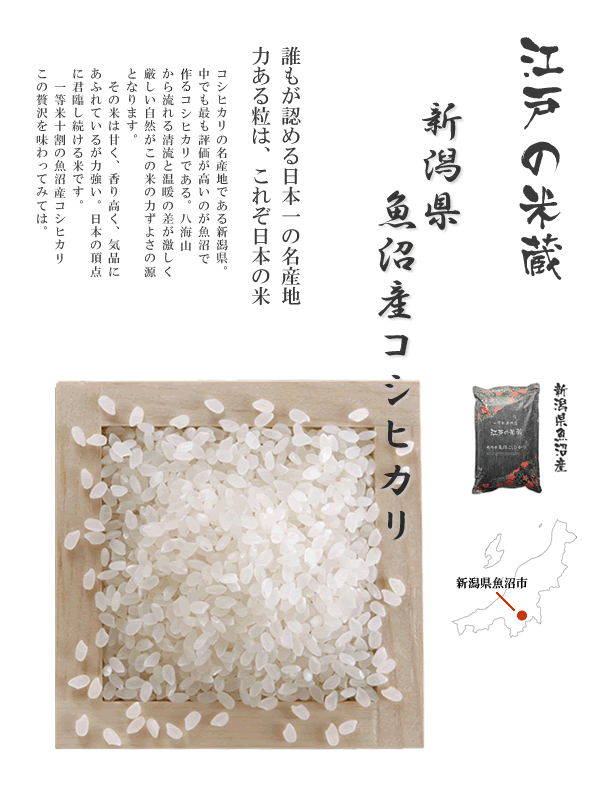 コシヒカリ お米 5kg 新米 令和6年産 新潟県 魚沼産コシヒカリ コシヒカリ お米 5kg 新米 令和6年産 新潟県 魚沼産コシヒカリ