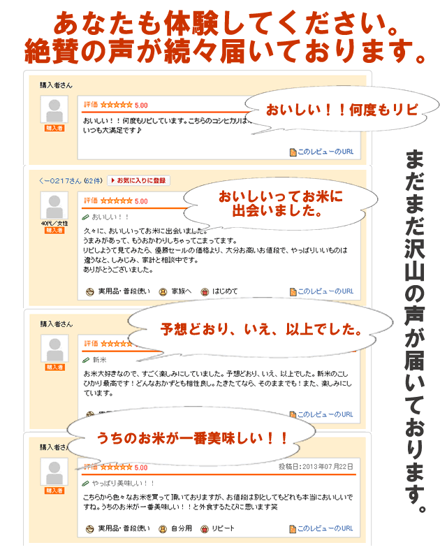 コシヒカリ お米 5kg 新米 令和6年産 新潟県 魚沼産コシヒカリ コシヒカリ お米 5kg 新米 令和6年産 新潟県 魚沼産コシヒカリ