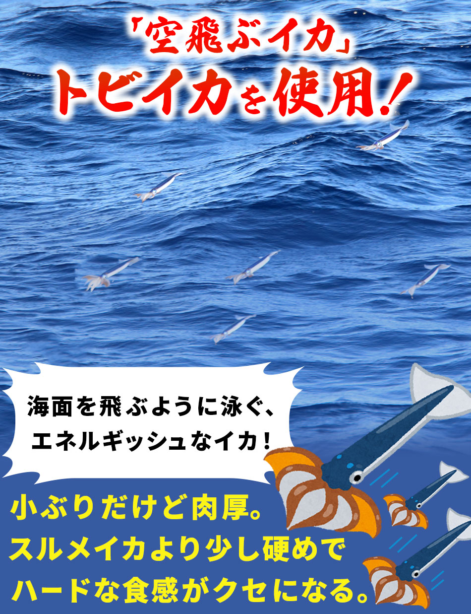 おつまみ　珍味　送料無料