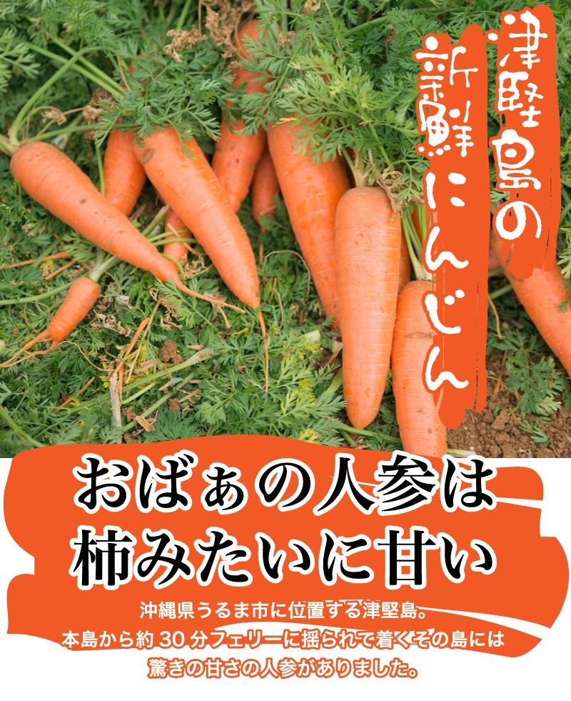 津堅島 にんじん 人参 3kg 送料無料【3月上旬〜下旬より順次発送