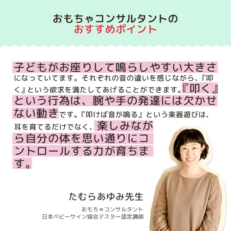 おもちゃ 知育玩具 赤ちゃん 木のおもちゃ 1歳 誕生日 プレゼント