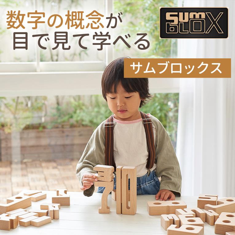 積み木 知育玩具 サムブロックス Sumblox オリジナルスターターセット 