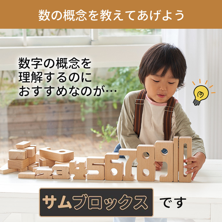 予約商品5月上旬入荷予定】積み木 知育玩具 サムブロックス