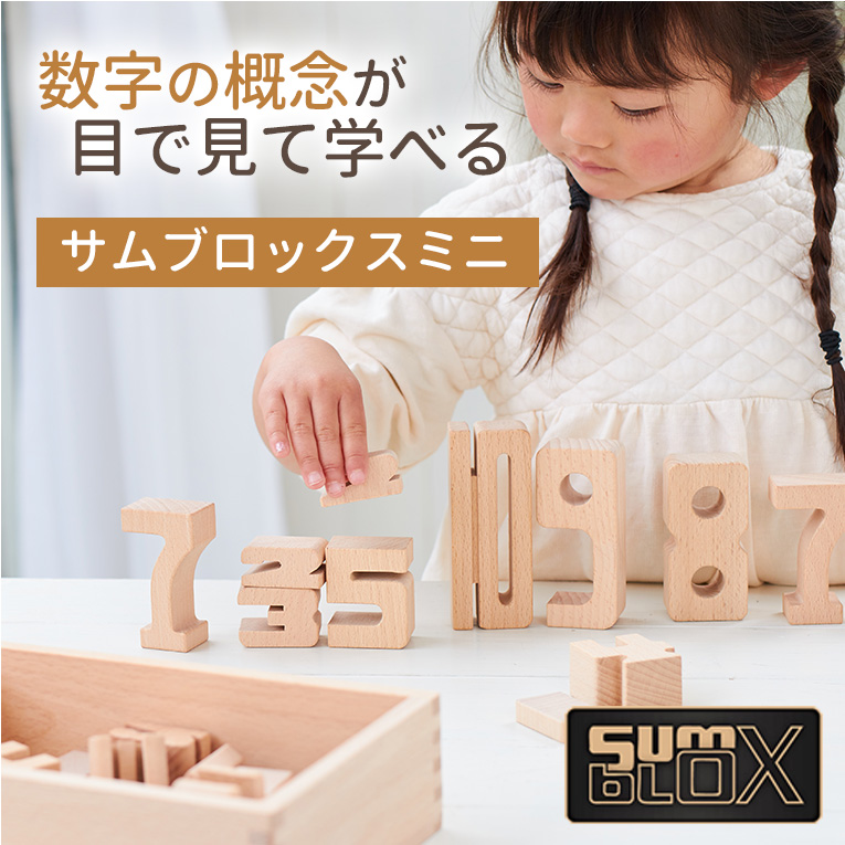 積み木 知育玩具 サムブロックス Sumblox ミニスターターセット 2歳 3 