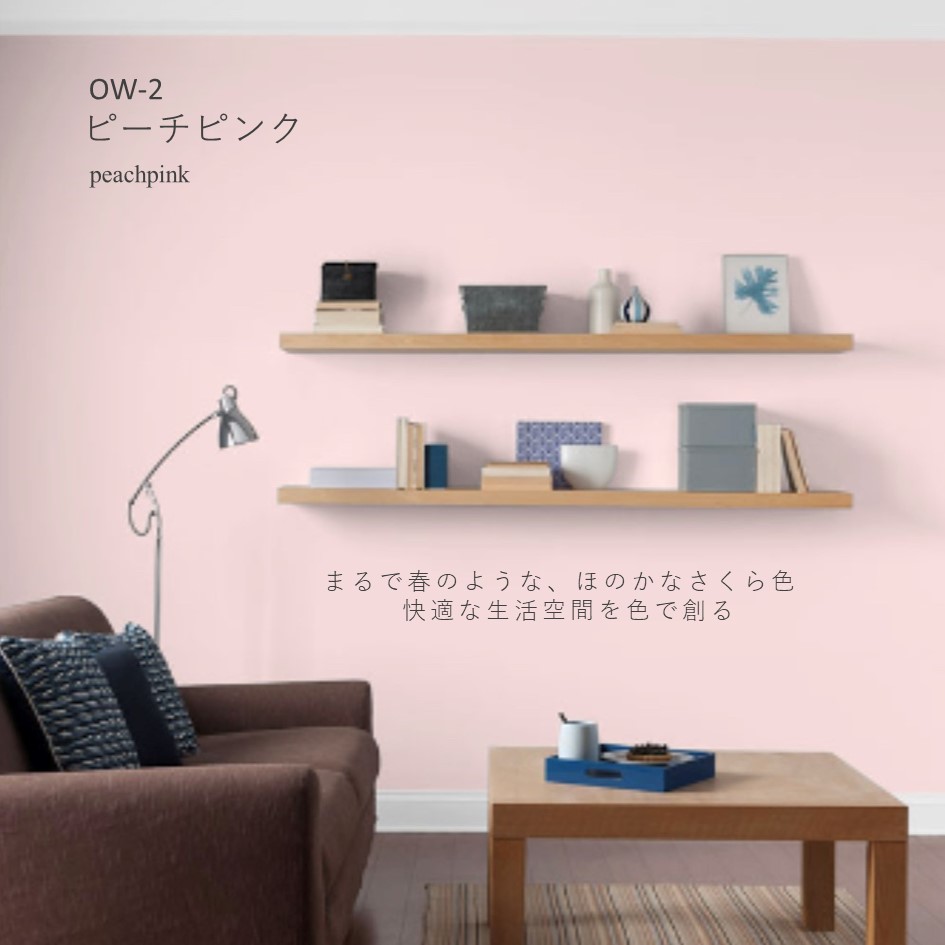 オーガニックウォール DIY リフォーム リノベ 珪藻土 漆喰 6畳 内装用