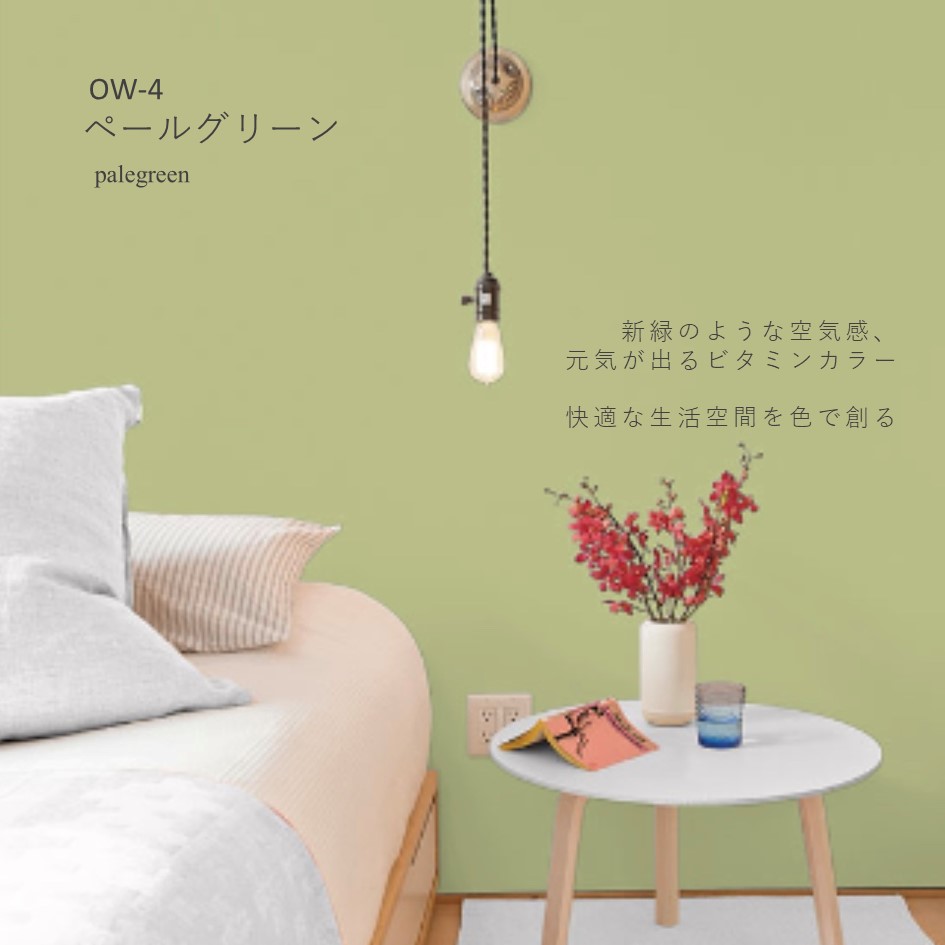 オーガニックウォール DIY リフォーム リノベ 珪藻土 漆喰 6畳 内装用